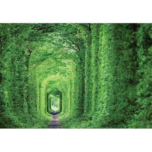 사랑의 터널